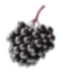 blackberry