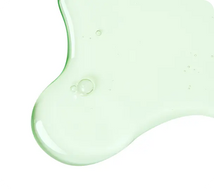 Spearmint Extract (Mentha spicata L.)