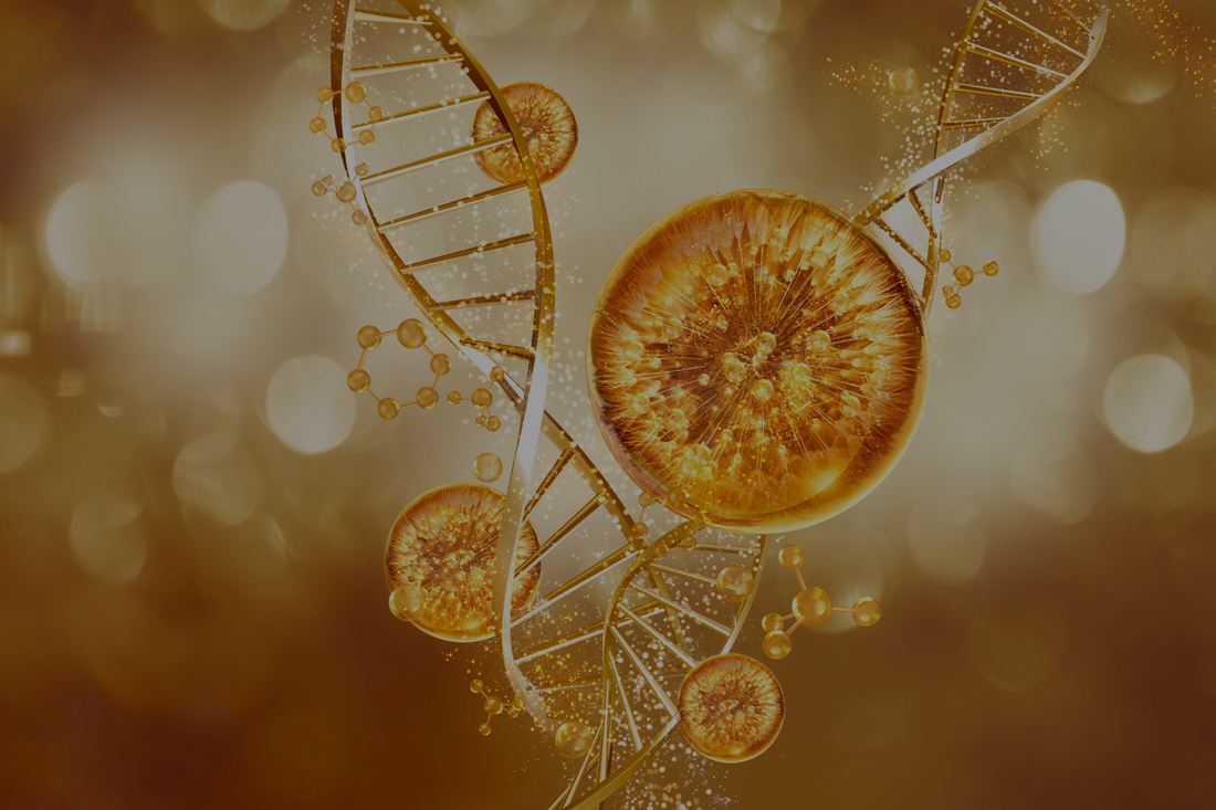 7 Expert Steps to Choose the Right Collagen