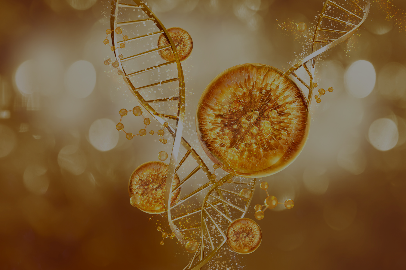 7 Expert Steps to Choose the Right Collagen