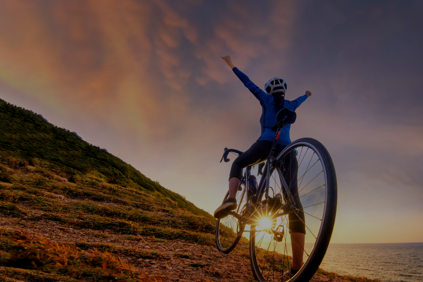 How to Choose High-Quality Collagen Products