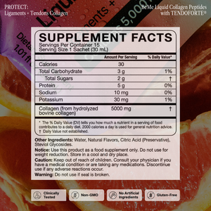 The Bulletproof Protocol