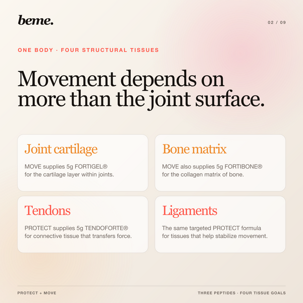 Mobility Protocol diagram showing joint cartilage, bone matrix, tendons and ligaments