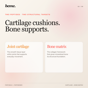 Joint cartilage and bone matrix explained with BeMe MOVE