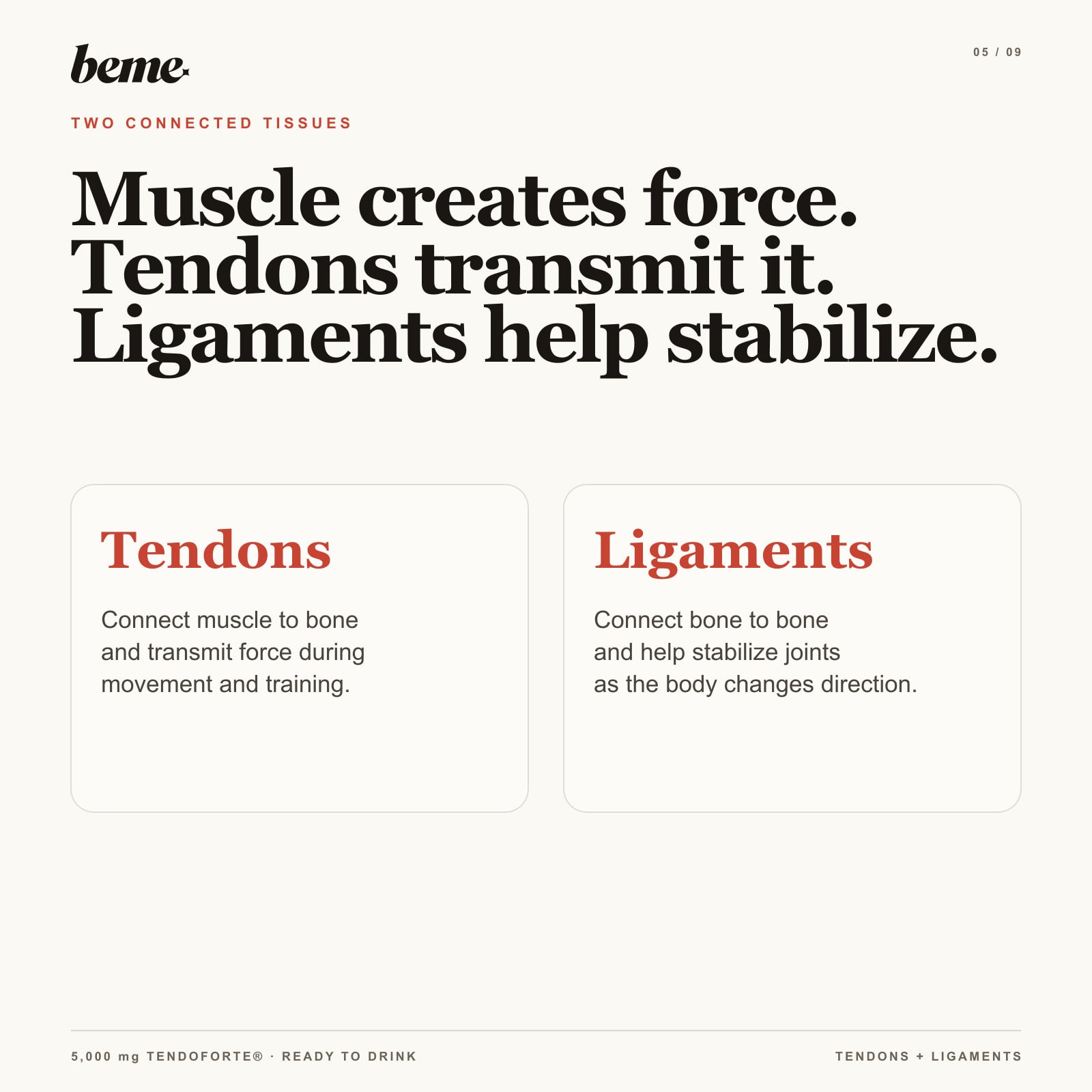 How tendons transmit force and ligaments help stabilize joints